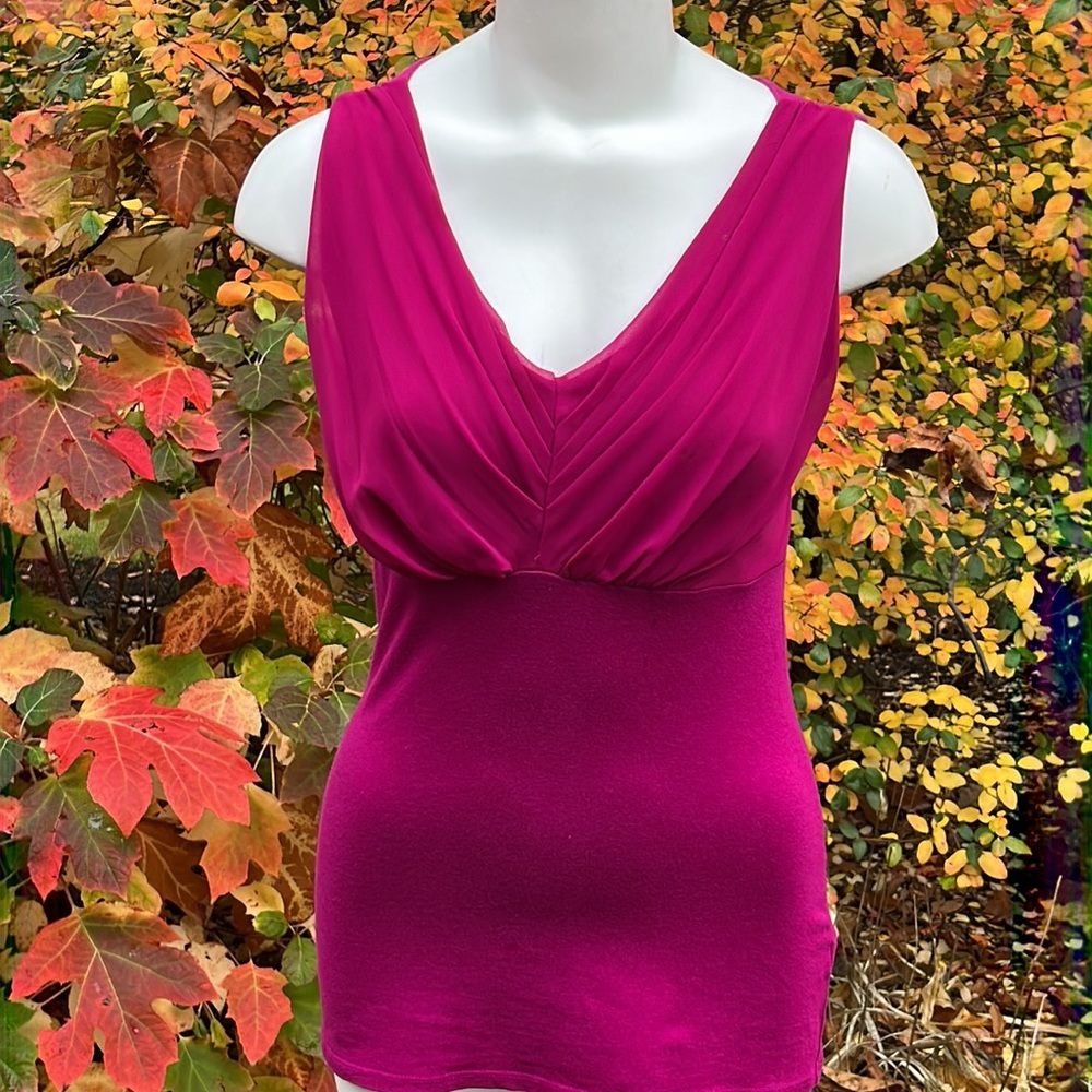 Express elegant fuchsia jersey M